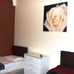 Twin room at Collingham Place Studios